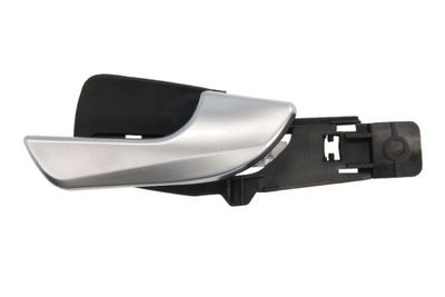 Exterior Door Handle BLIC 6010-22-017408P
