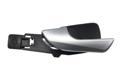 Exterior Door Handle BLIC 6010-22-017409P