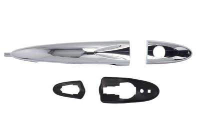 Exterior Door Handle BLIC 6010-23-012401P