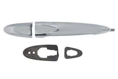 Exterior Door Handle BLIC 6010-23-012402P