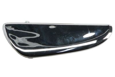 Exterior Door Handle BLIC 6010-23-012408P