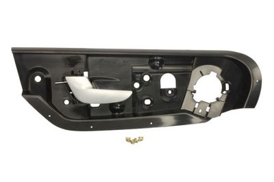 Exterior Door Handle BLIC 6010-24-016401P
