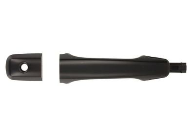 Exterior Door Handle BLIC 6010-24-022401P
