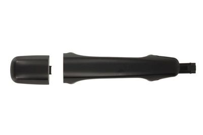 Exterior Door Handle BLIC 6010-24-022402P