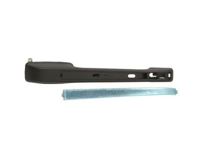 Exterior Door Handle BLIC 6010-25-006404P