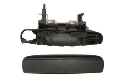 Exterior Door Handle BLIC 6010-25-031402P