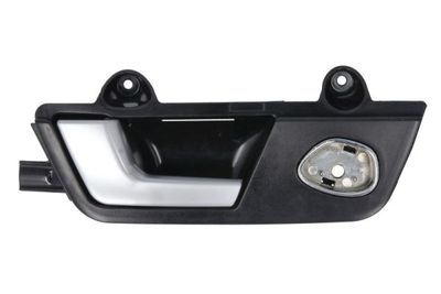 Exterior Door Handle BLIC 6010-25-031409TP