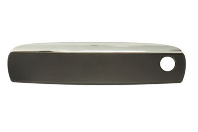 Exterior Door Handle BLIC 6010-25-035401PP