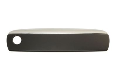 Exterior Door Handle BLIC 6010-25-035402PP