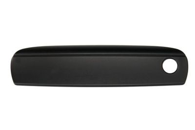 Exterior Door Handle BLIC 6010-25-048401P