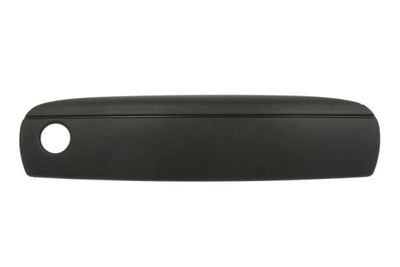 Exterior Door Handle BLIC 6010-25-048402P