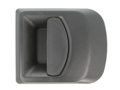 Exterior Door Handle BLIC 6010-30-002402P