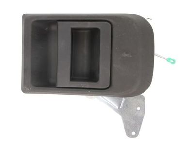 Exterior Door Handle BLIC 6010-30-002417P