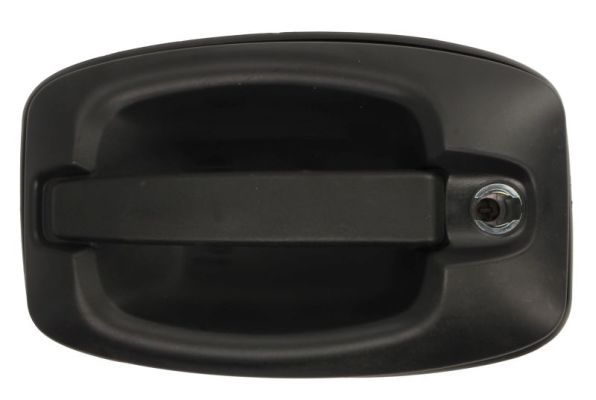 BLIC 6010-30-003401P Exterior Door Handle