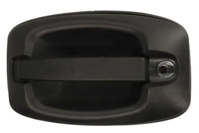 Exterior Door Handle BLIC 6010-30-003401P