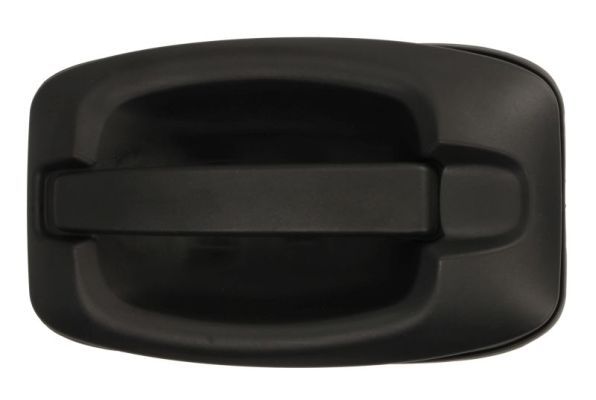 BLIC 6010-30-003402P Exterior Door Handle
