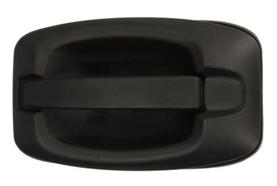 Exterior Door Handle BLIC 6010-30-003402P