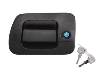 Exterior Door Handle BLIC 6010-30-004401P