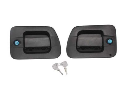 Exterior Door Handle BLIC 6010-30-004407P