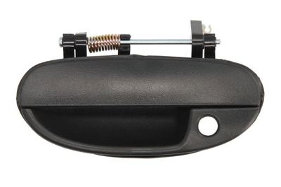 Exterior Door Handle BLIC 6010-42-004401P