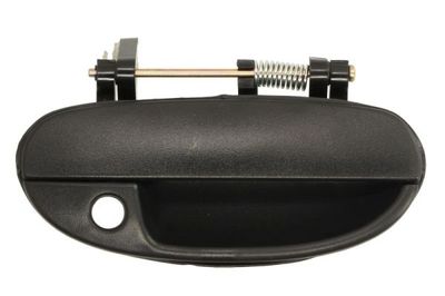 Exterior Door Handle BLIC 6010-42-004402P