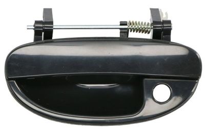 Exterior Door Handle BLIC 6010-42-005401P