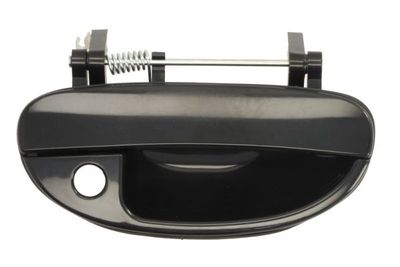 Exterior Door Handle BLIC 6010-42-005402P