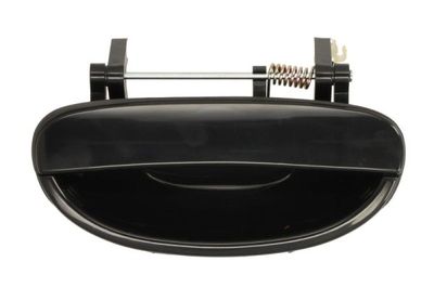 Exterior Door Handle BLIC 6010-42-005403P