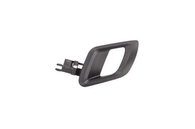 Exterior Door Handle BLIC 6010-43-008409P