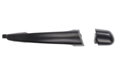 Exterior Door Handle BLIC 6010-43-009401P