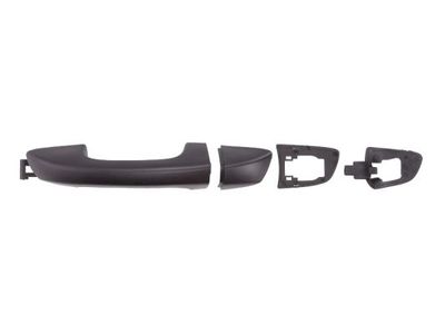Exterior Door Handle BLIC 6010-43-009403P