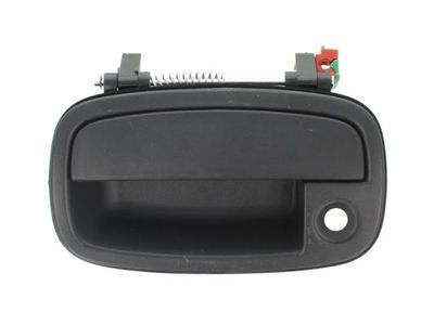 Exterior Door Handle BLIC 6010-53-002401P