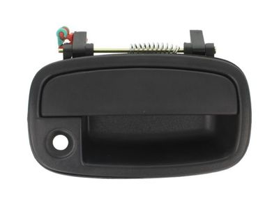 Exterior Door Handle BLIC 6010-53-002402P