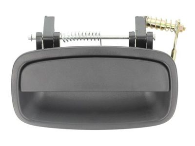 Exterior Door Handle BLIC 6010-53-002403P