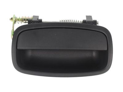 Exterior Door Handle BLIC 6010-53-002404P