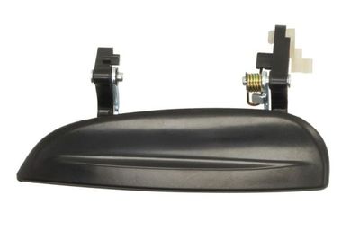 Exterior Door Handle BLIC 6010-53-008401P