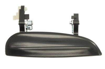 Exterior Door Handle BLIC 6010-53-008402P