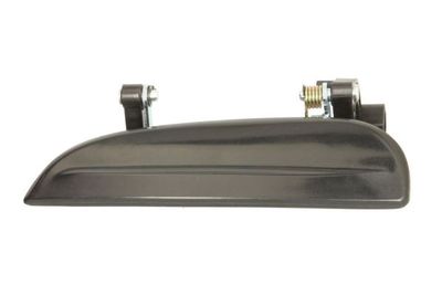 Exterior Door Handle BLIC 6010-53-008403P