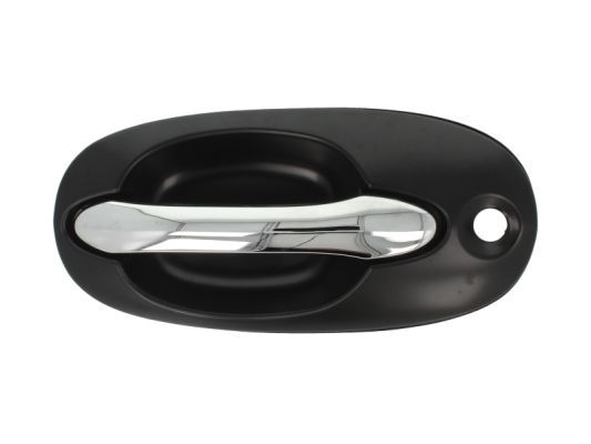 BLIC 6010-53-012401P Exterior Door Handle