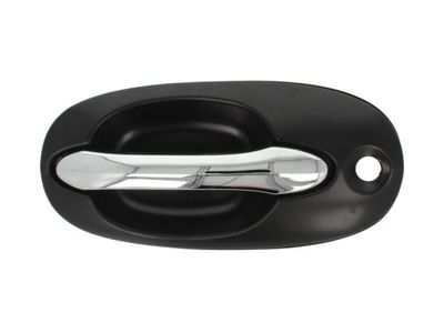 Exterior Door Handle BLIC 6010-53-012401P