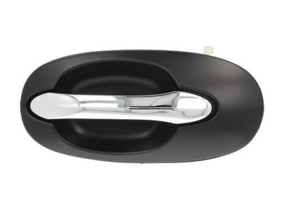 Exterior Door Handle BLIC 6010-53-012403P