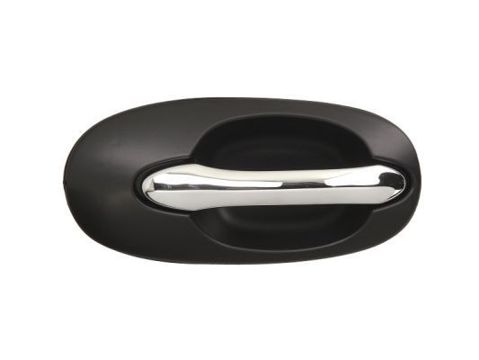BLIC 6010-53-012404P Exterior Door Handle