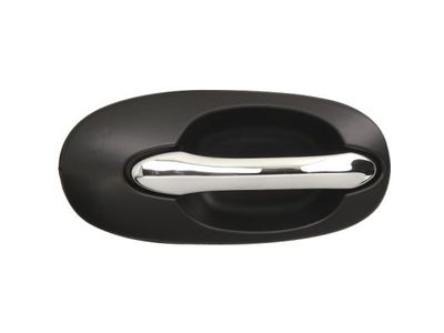 Exterior Door Handle BLIC 6010-53-012404P