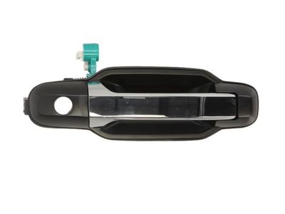 Exterior Door Handle BLIC 6010-53-013402PP