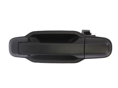 Exterior Door Handle BLIC 6010-53-013403P