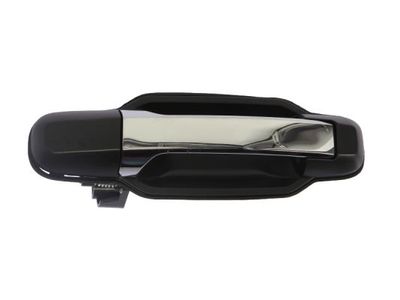 Exterior Door Handle BLIC 6010-53-013403PP
