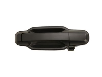 Exterior Door Handle BLIC 6010-53-013404P