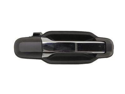Exterior Door Handle BLIC 6010-53-013404PP