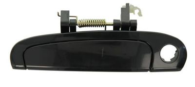 Exterior Door Handle BLIC 6010-53-017401P
