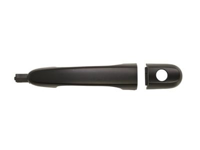 Exterior Door Handle BLIC 6010-53-019401P